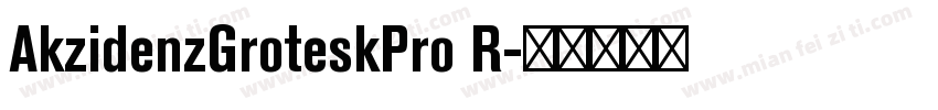 AkzidenzGroteskPro R字体转换